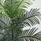 6ft. Artificial Paradise Palm with White Decorative Planter